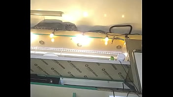 Nataly Shy first time ever flashing at work part 9