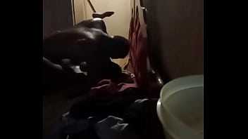 Xvkendollar2 sexy ametur have a step cousin a day to remember...for more videos https://www.xvideos.red/amateur-channels/kendollar2# tabRed