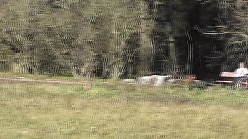 Hairy mature flashing n the park