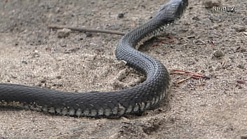 Natasha posing #13 Near a river