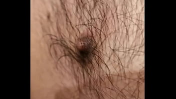 Pakistan x Brazilian