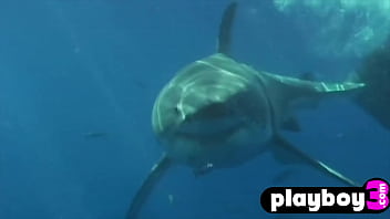 Sexy big tits lesbians enjoys wet games after diving