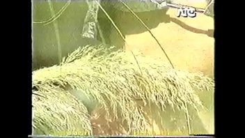 SANDRA VIDAL cuerpazo 2/2