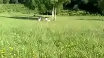 Wife Creampied by Stranger Blindfolded Tied To A Tree