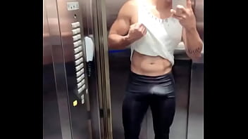 Gato safado de Recife pau duro no elevador