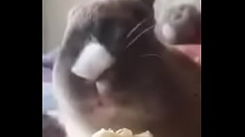 D&iacute_a del platano full HD (conejita come platano)