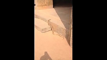 TIERY B. // FILM - XXI