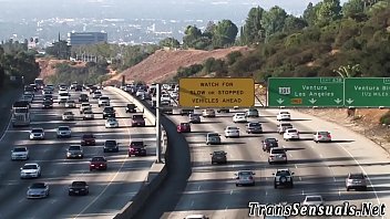 Shemale eats trans pussy