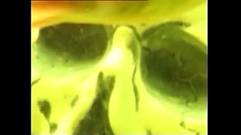 dariolussuriaML-231 1