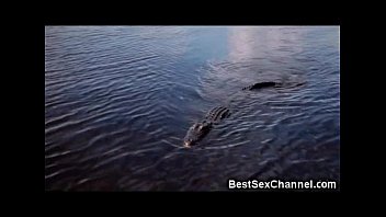 WTF Hot Babes Riding Alligators!