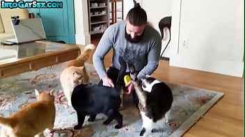 Hairy bear fucks MTF pussyboi after deepthroating BJ