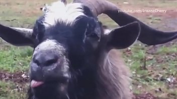 Skrillex &amp_ Damian Marley - Make It Bun Dem (a. Cover) [only a. sounds]