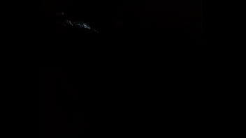 Mature sucking my dick