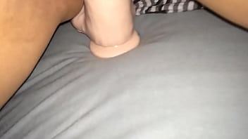 IMG 1304