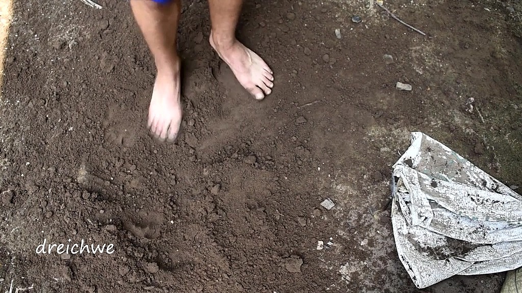 digging with the feet