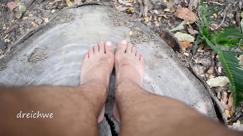 feet in cut trunk