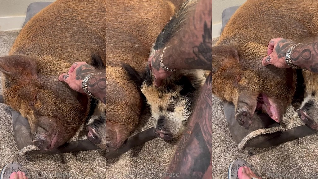 update #37 (june 29, 2022) my two little monsters :)