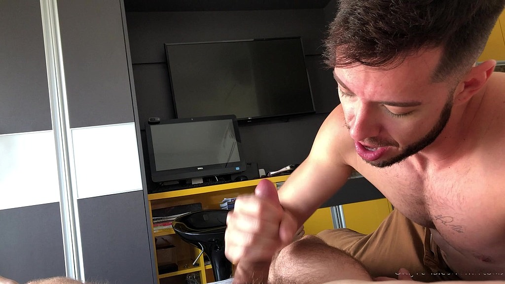 update #81 (november 10, 2020) gabrielgaucho