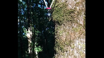 Lady Alice (9:16) 09 part 3 - Bride Diaries - Full HD 60fps