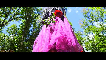 Mesmeriza 27 01 MOV CINEMA CLIP 379 20240816113405021 001