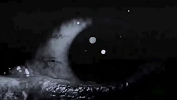 vintage erotic drawings