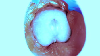 How I fuck from the inside! Camera inside!