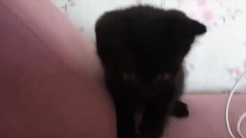 One more day in Siberia