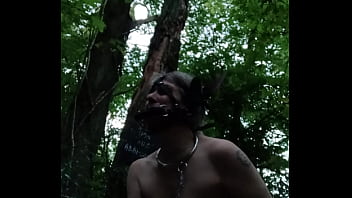 2024 09 04 Esclave F la ponygirl en for&ecirc_t