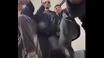 Gordito Comunica te fornica