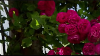 Bangla Sex Story | Motivational Story | New Emotional Story | Bangla Romantic Sex Story Part 2