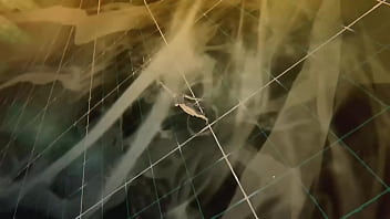 Bleach Rebirth of Souls Nude Rangiku Mod