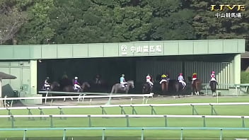 みんなのKEIBA 2025年9月28日 スプリンターズステークス