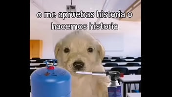 Me aprueba o me aprueba