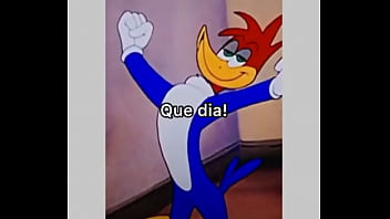 V&iacute_deo de verifica&ccedil_&atilde_o