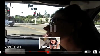 India summer swallow in the car