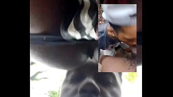 Negros no parque curtindo