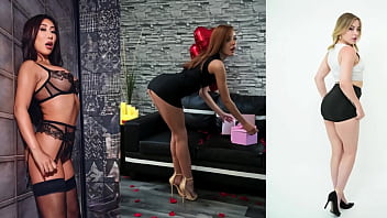 Miseric&oacute_rdia do burros ot&aacute_rios p&iacute_lula preta