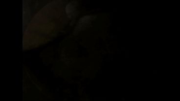 vintage erotic drawings