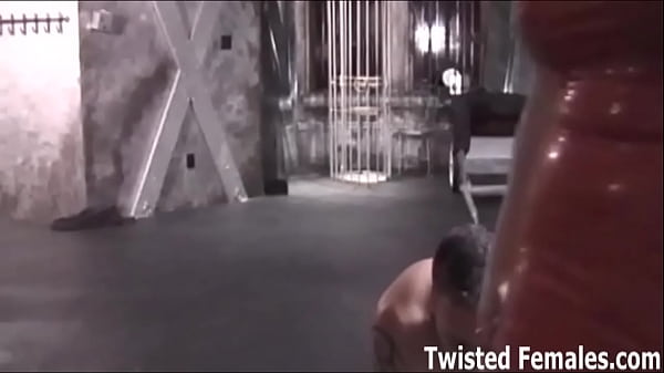 You are nothing more to me than a pet