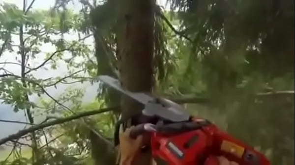 LONG THICK WOOD FLIES INTO STRATOSPHERE