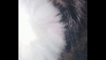 free this little fag wanted to suck my dick in the club, since it was so good I returned the favor