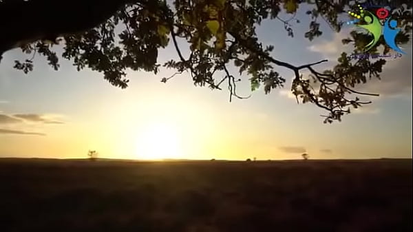 فيديو التحقق