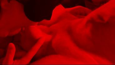 My wife'_s an expert-level cock sucker! Side view blow job: Red Light Videos #17