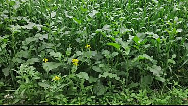 I'_m fucking hard my best friend'_s wife Sweety Bhabhi Full Hindi Video