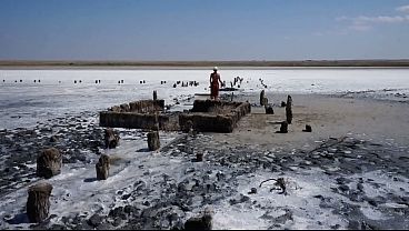 Healinig Mud of Elton Salt Lake