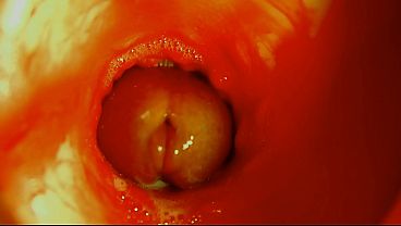 The path into the depths and wet splashes