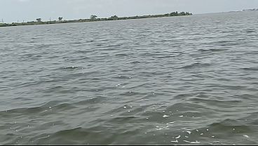 A journey through the sea