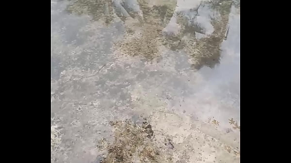 Video x&aacute_c minh