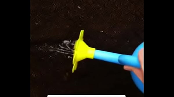 فيديو التحقق