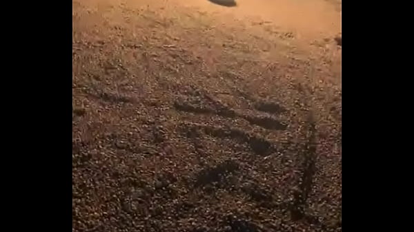 V&iacute_deo de verifica&ccedil_&atilde_o